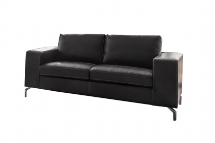 Couch 2-Sitzer Sofa dunkelgrau BELAIR